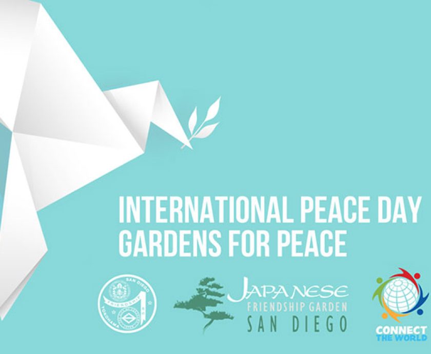 intl-peaceday